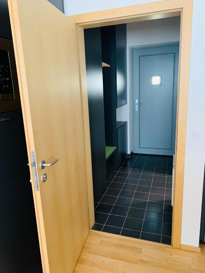 Dovolena Bez Starosti - Apartman U Venuse พาฟลอฟ ภายนอก รูปภาพ