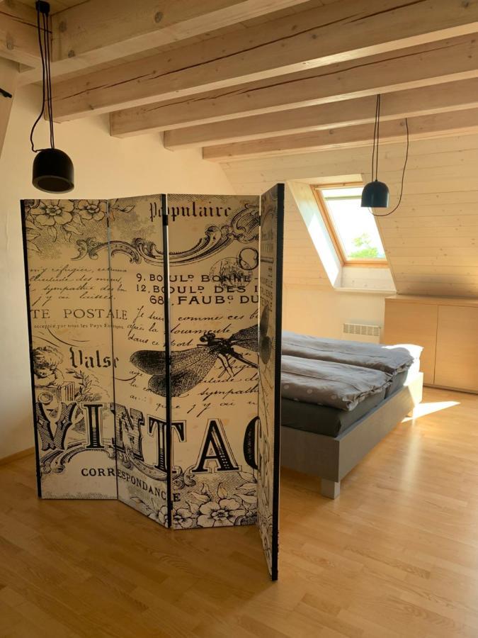 Dovolena Bez Starosti - Apartman U Venuse พาฟลอฟ ภายนอก รูปภาพ
