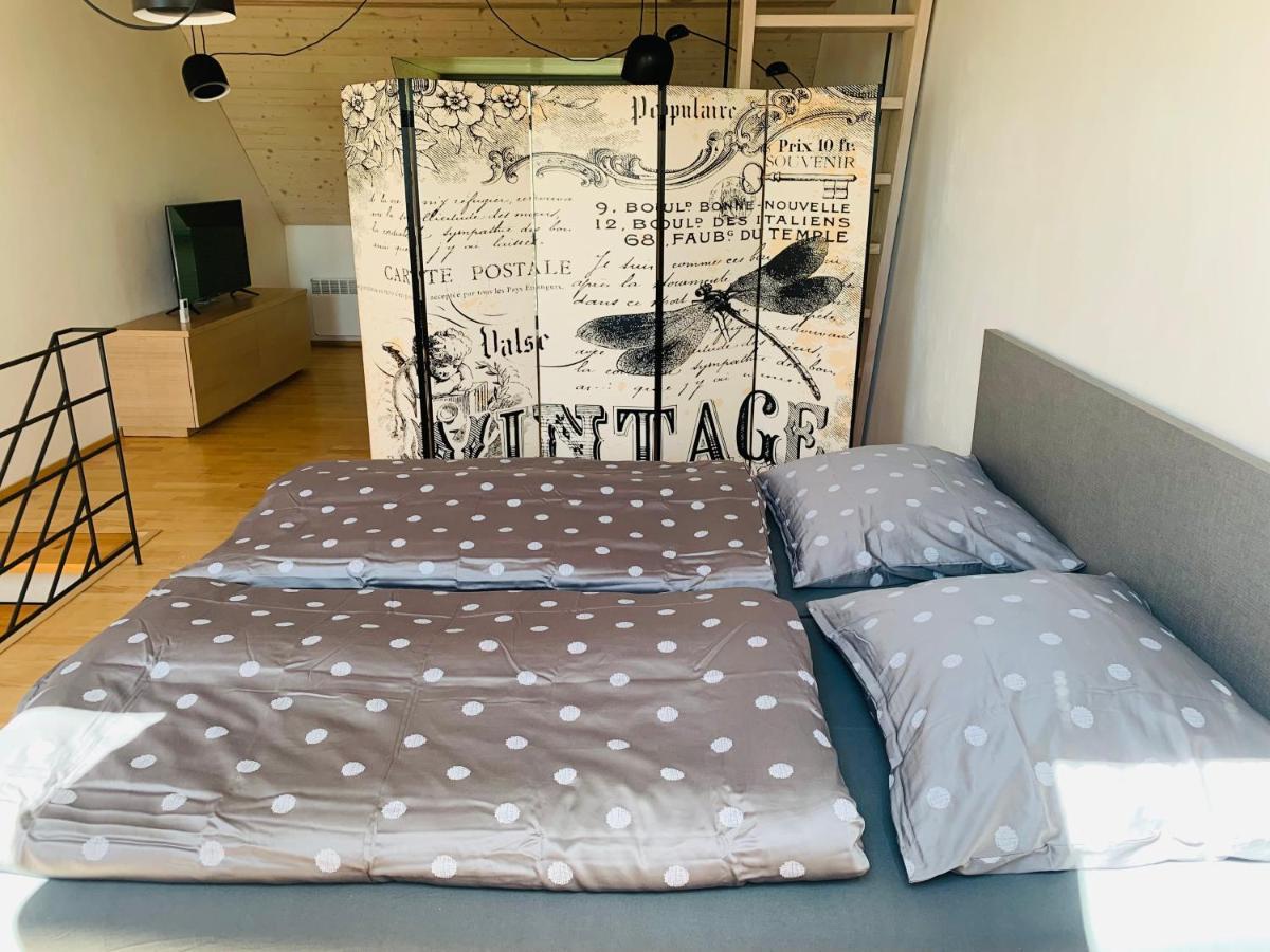 Dovolena Bez Starosti - Apartman U Venuse พาฟลอฟ ภายนอก รูปภาพ
