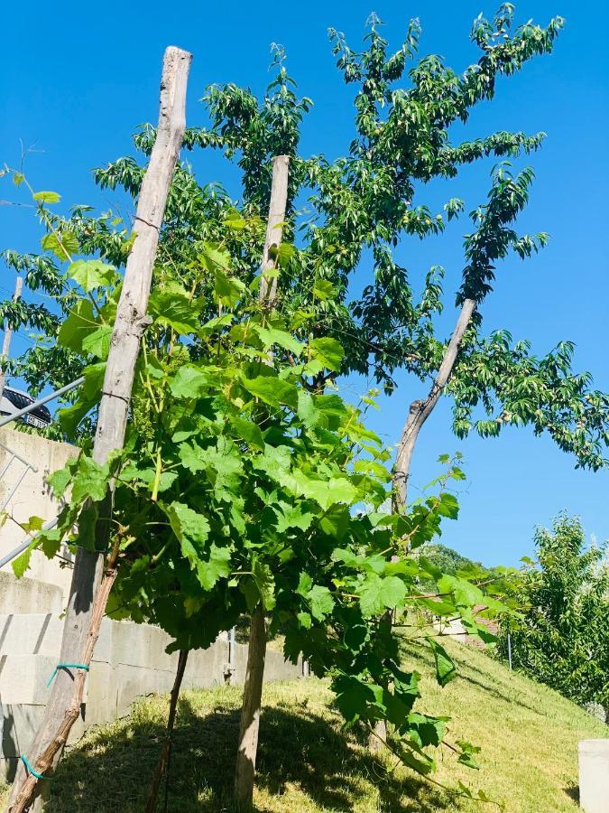 Dovolena Bez Starosti - Apartman U Venuse พาฟลอฟ ภายนอก รูปภาพ