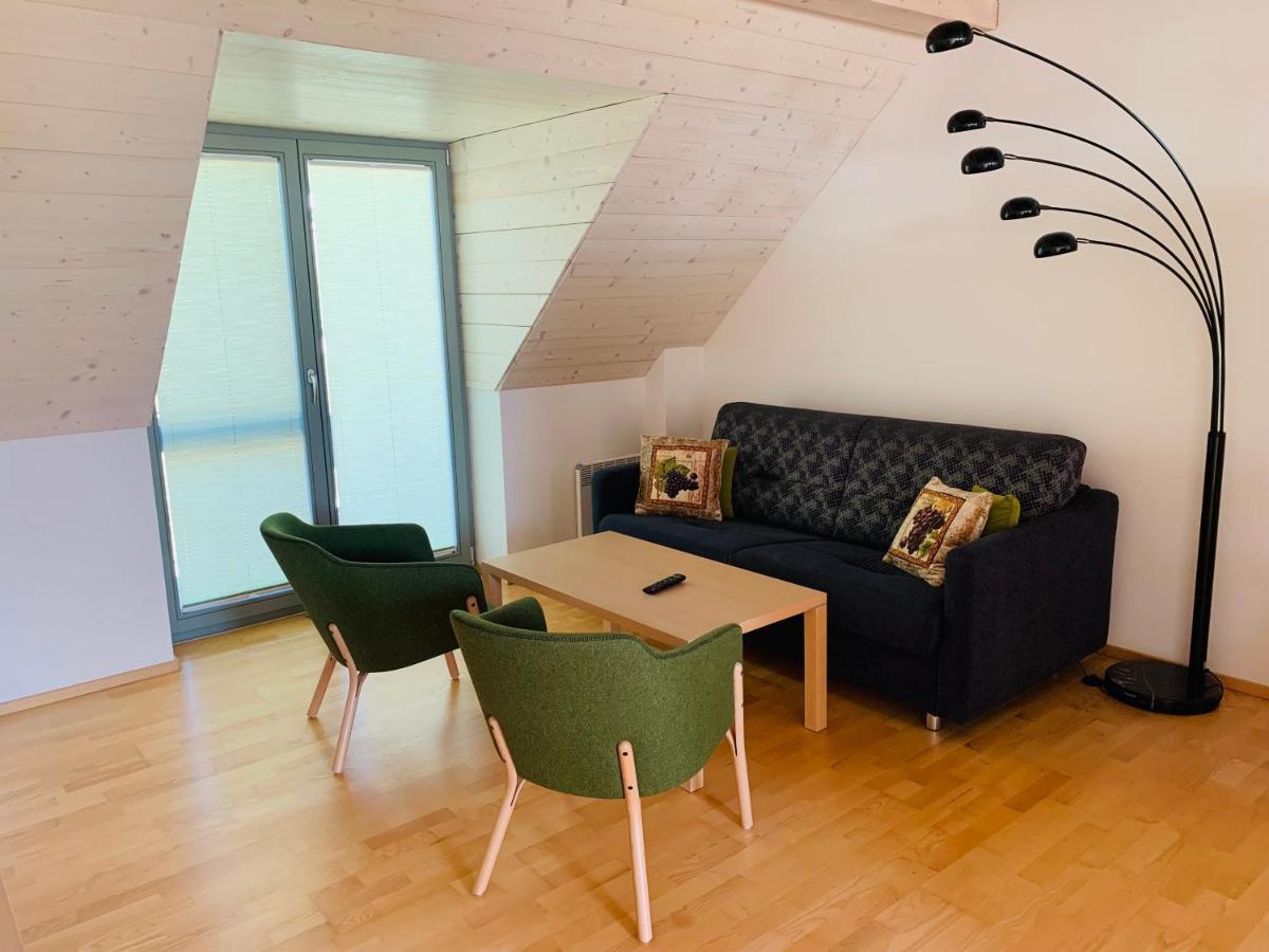 Dovolena Bez Starosti - Apartman U Venuse พาฟลอฟ ภายนอก รูปภาพ