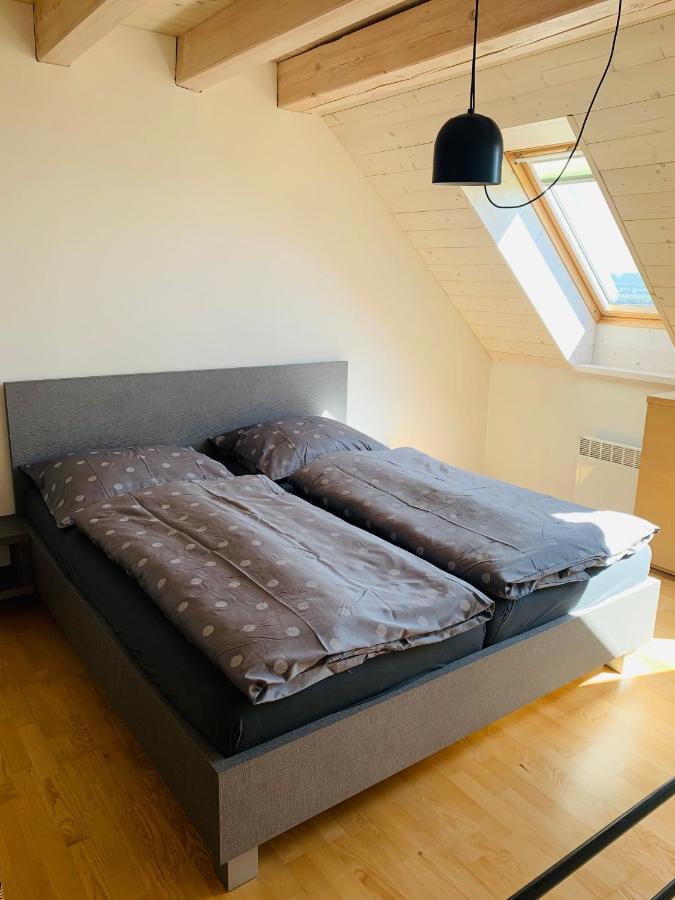 Dovolena Bez Starosti - Apartman U Venuse พาฟลอฟ ภายนอก รูปภาพ