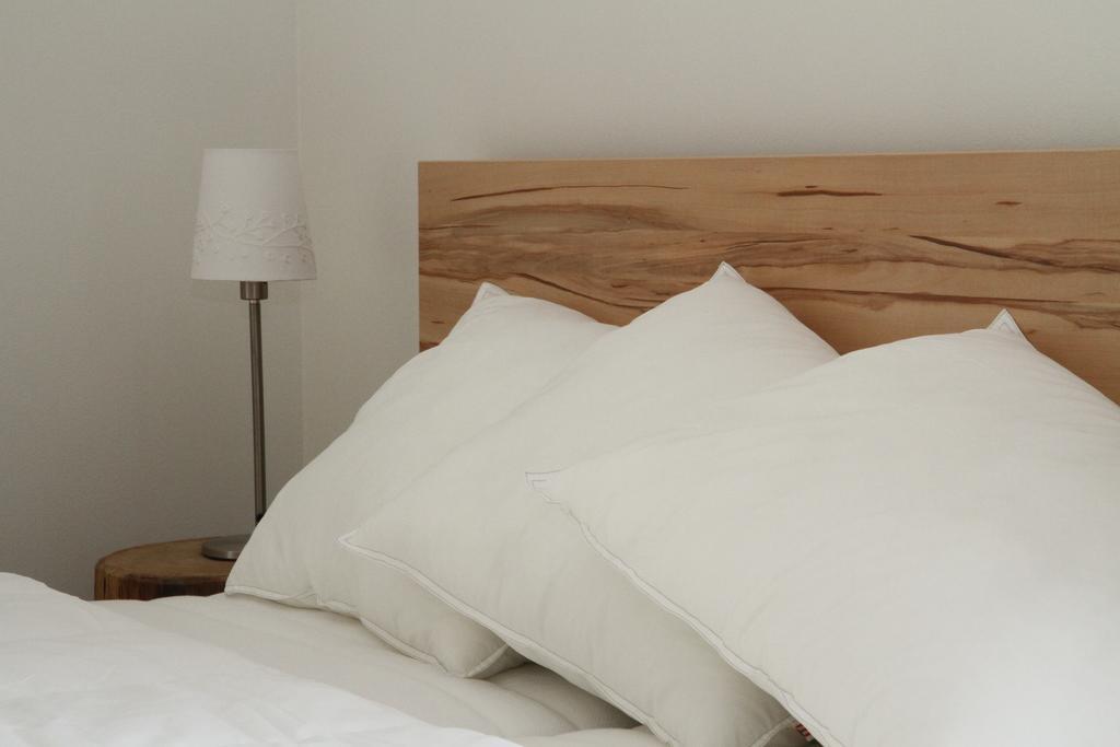 Dovolena Bez Starosti - Apartman U Venuse พาฟลอฟ ภายนอก รูปภาพ